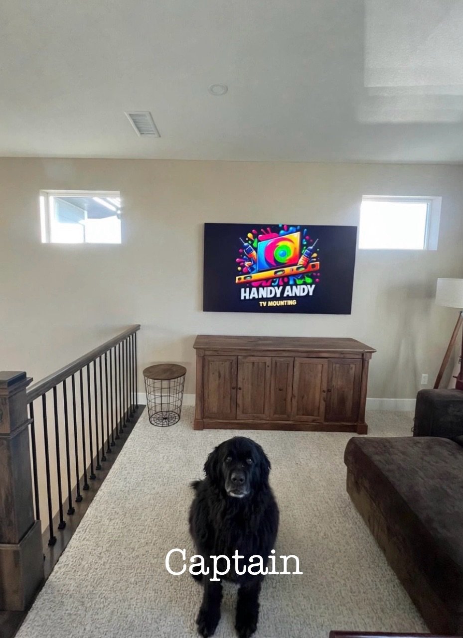 TV mounted above a wood console in an upstairs loft between two windows, with the homeowner's dog in front