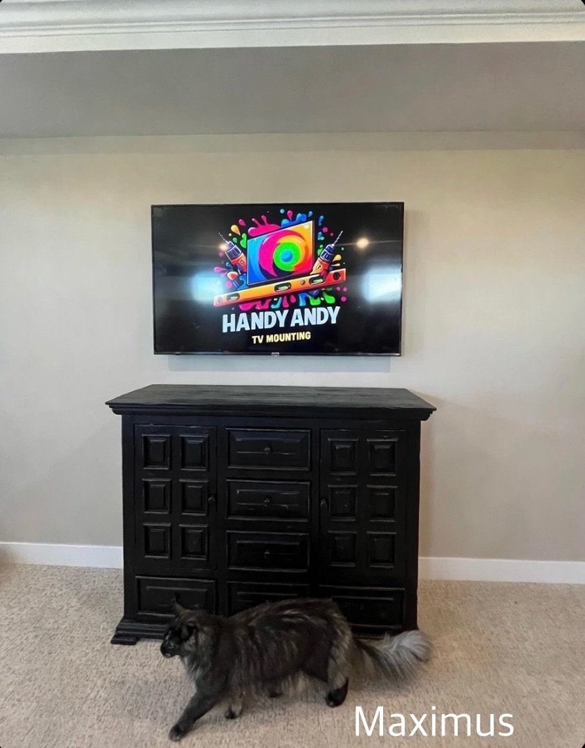 TV mounted above a black wood dresser on a gray wall, with the homeowner's cat walking by