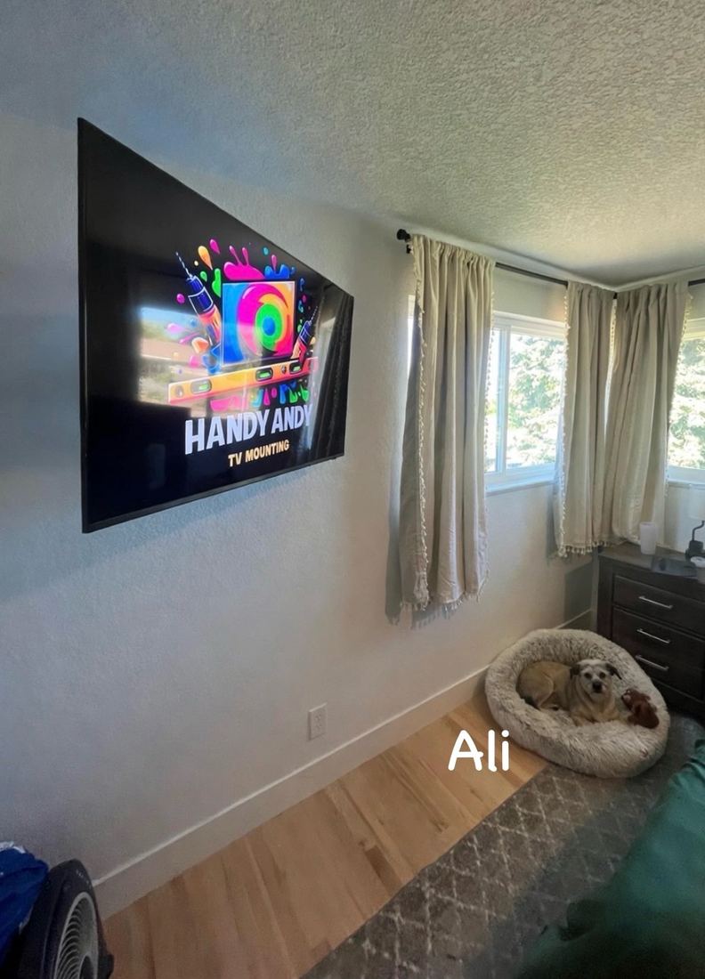 TV mounted on a textured white bedroom wall showing the Handy Andy logo, next to a curtained window and a small dog in a round dog bed