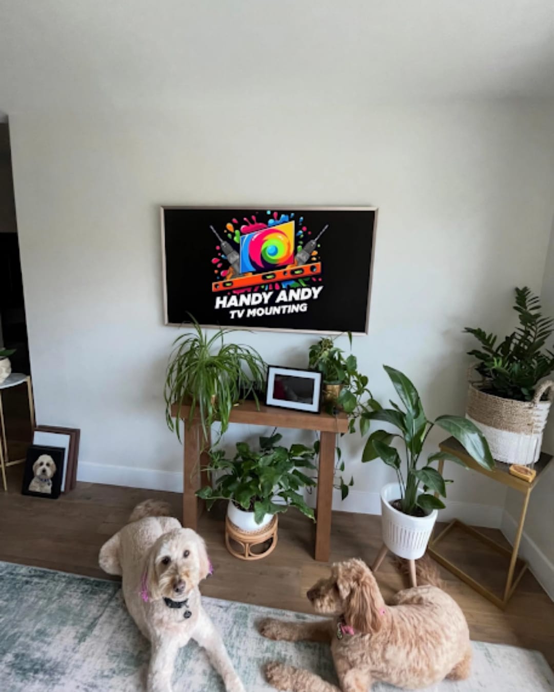 TV mounted in a bright bedroom with two dogs and houseplants, screen displaying the Handy Andy TV Mounting logo