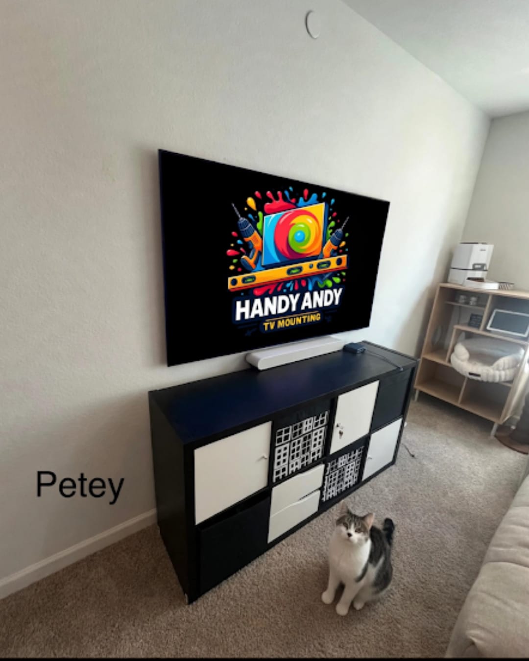 TV mounted above a media console with a cat sitting nearby, screen displaying the Handy Andy TV Mounting logo